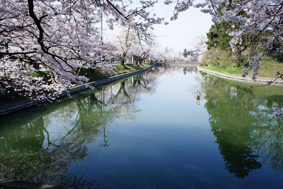 四季彩祭